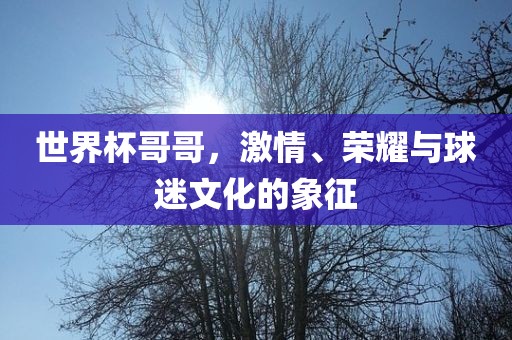 世界杯哥哥，激情、荣耀与球迷文化的象征