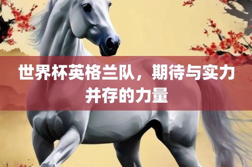 世界杯英格兰队，期待与实力并存的力量