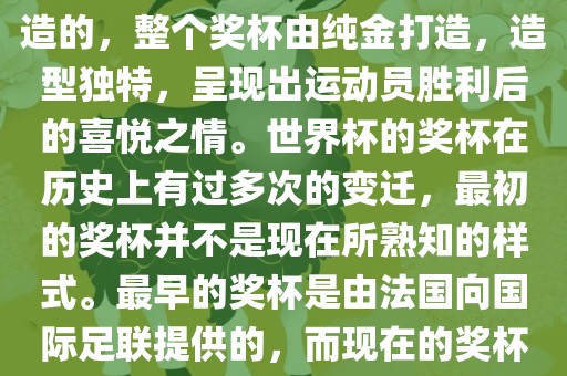 世界杯的杯来源于为了纪念雷米特，同时也是为了鼓励足球运动的发展，国际足联将这一荣誉奖杯命名为雷米特杯。其最初是由法国雕刻家设计并创造的，整个奖杯由纯金打造，造型独特，呈现出运动员胜利后的喜悦之情。世界杯的奖杯在历史上有过多次的变迁，最初的奖杯并不是现在所熟知的样式。最早的奖杯是由法国向国际足联提供的，而现在的奖杯是在多次设计之后最终确定的。因此，世界杯的杯来源于对足球运动的纪念和鼓励，同时也是经过多次设计和改进而成的。