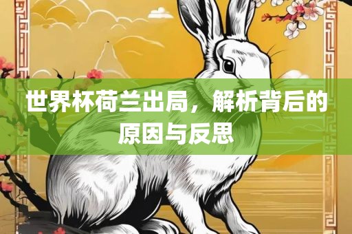 世界杯荷兰出局，解析背后的原因与反思