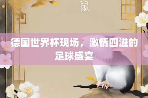 德国世界杯现场，激情四溢的足球盛宴