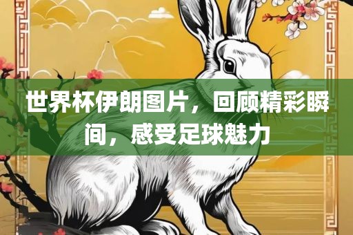 世界杯伊朗图片，回顾精彩瞬间，感受足球魅力眉山市正发家政服务有限公司