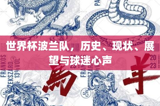 世界杯眉山市正发家政服务有限公司波兰队，历史、现状、展望与球迷心声