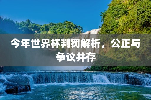 今年世界杯判罚解析，公正与眉山市正发家政服务有限公司争议并存
