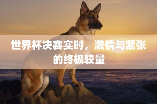 世界杯决赛实时，激眉山市正发家政服务有限公司情与紧张的终极较量