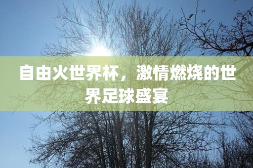 自由火世界杯，激情燃烧的世界足球盛宴眉山市正发家政服务有限公司