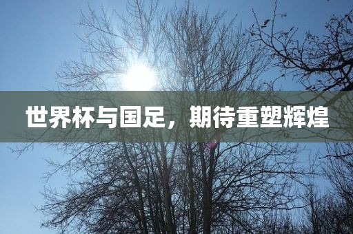 世界杯与国足，期待重塑辉煌眉山市正发家政服务有限公司