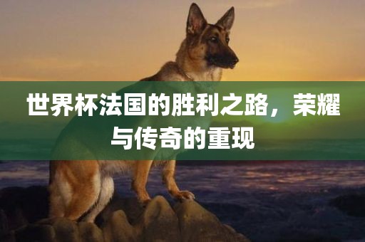 世界杯法国的胜利之路，荣耀与传奇的重现