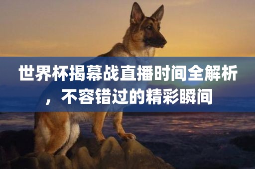 世界杯揭幕战直播时间全解析，不容错过的精彩瞬间