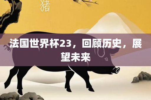 法国世界杯23，回顾历史，展望未来