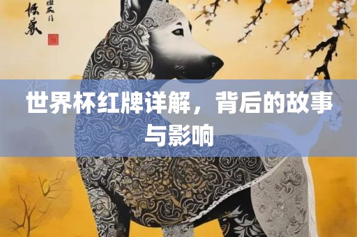 世界杯红牌详解，背后的故事与影响