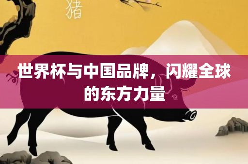 世界杯与中国品牌，闪耀全球的东方力量