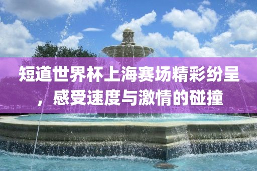 短道世界杯上海赛场精彩纷呈，感受速度与激情的碰撞