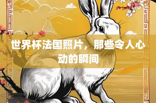世界杯法国照片，那些令人心动的瞬间