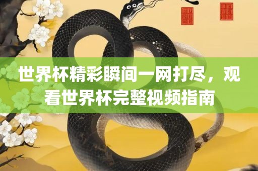 世界杯精彩瞬间一网打尽，观看世界杯完整视频指南