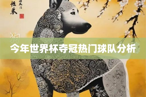 今年世界杯夺冠热门球队分析