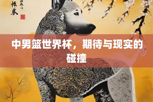 中男篮世界杯，期待与现实的碰撞