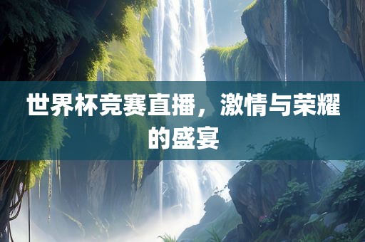 世界杯竞赛直播，激情与荣耀的盛宴