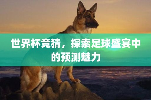 世界杯竞猜，探索足球盛宴中的预测魅力