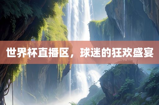 世界杯直播区，球迷的狂欢盛宴