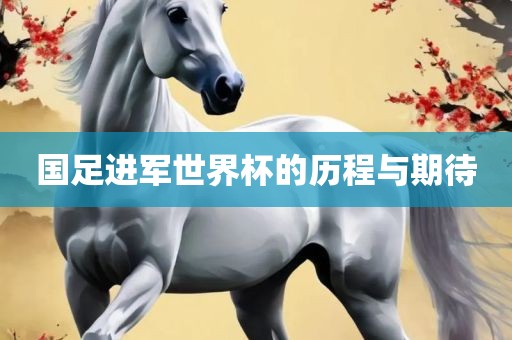 国足进军世界杯的历程与期待