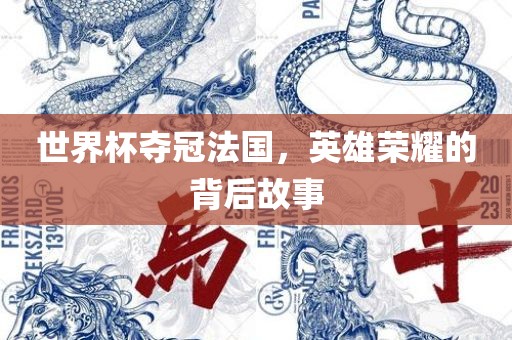 世界杯夺冠法国，英雄荣耀的背后故事