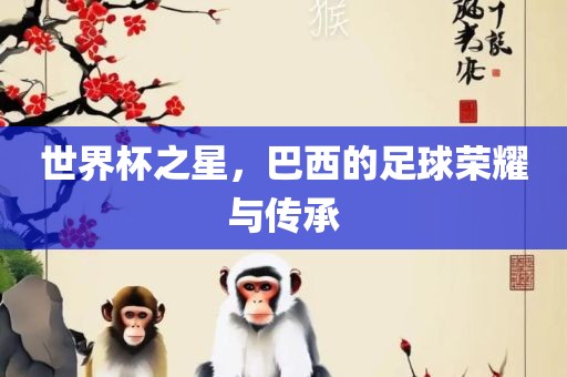 世界杯之星，巴西的足球荣耀与传承