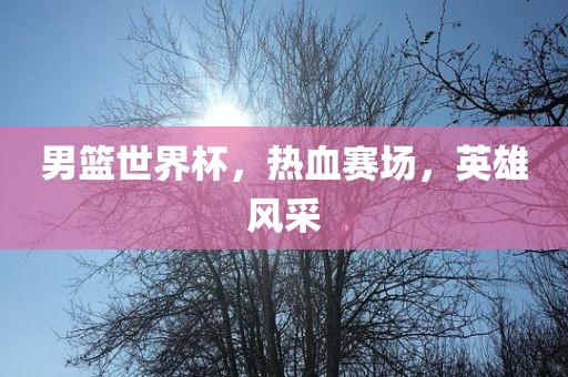 男篮世界杯，热血赛场，英雄风采