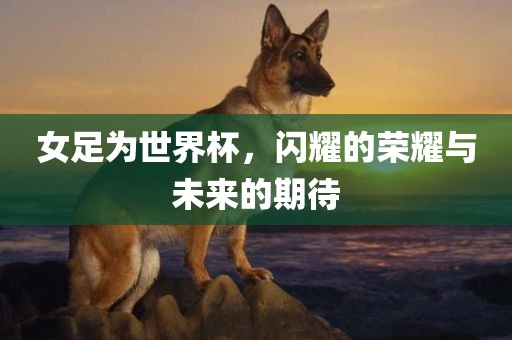 女足为世界杯，闪耀的荣耀与未来的期待