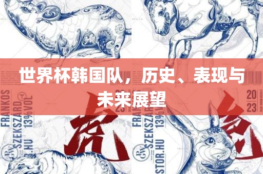 世界杯韩国队，历史、表现与未来展望