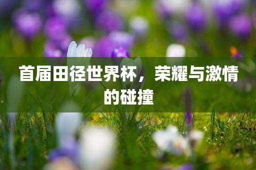 首届田径世界杯，荣耀与激情的碰撞