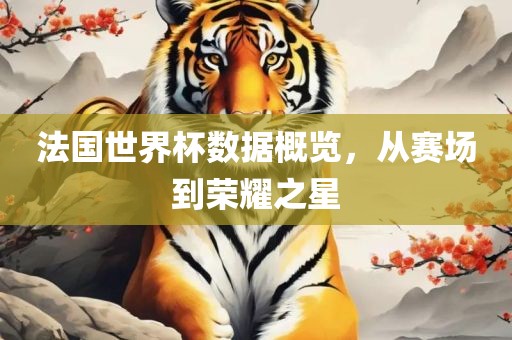 法国世界杯数据概览，从赛场到荣耀之星