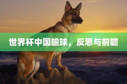 世界杯中国输球，反思与前瞻
