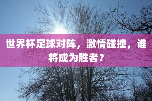 世界杯足球对阵，激情碰撞，谁将成为胜者？