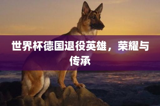 世界杯德国退役英雄，荣耀与传承