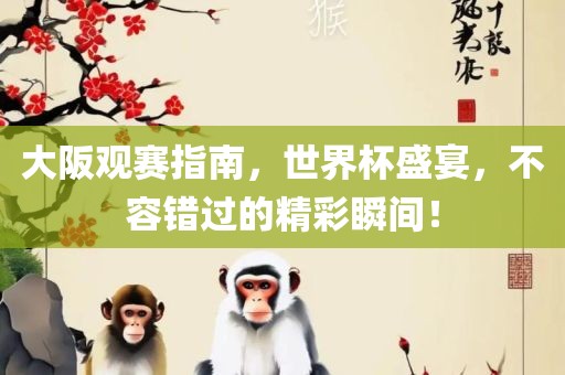 大阪观赛指南，世界杯盛宴，不容错过的精彩瞬间！