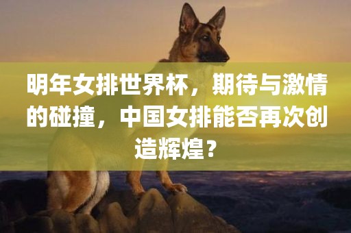明年女排世界杯，期待与激情的碰撞，中国女排能否再次创造辉煌？