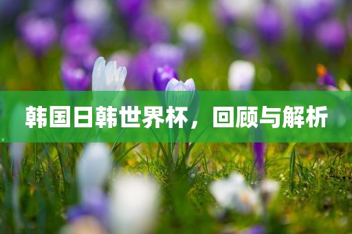韩国日韩世界杯，回顾与解析