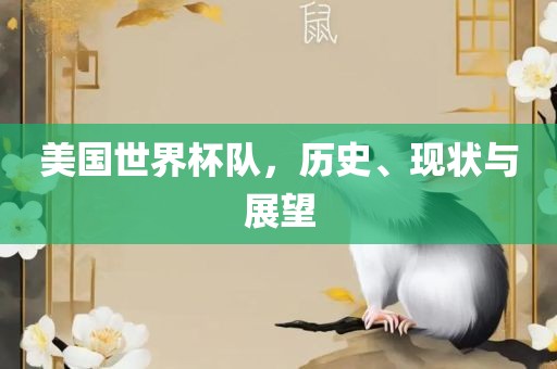 美国世界杯队，历史、现状与展望