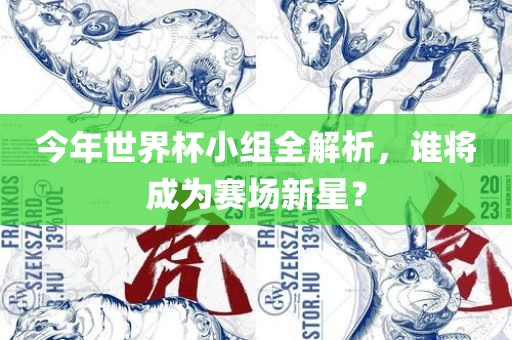 今年世界杯小组全解析，谁将成为赛场新星？