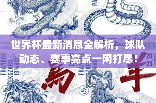 世界杯最新消息全解析，球队动态、赛事亮点一网打尽！