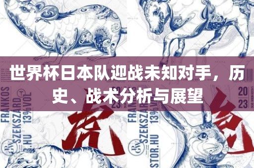 世界杯日本队迎战未知对手，历史、战术分析与展望