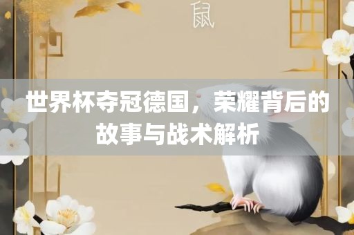 世界杯夺冠德国，荣耀背后的故事与战术解析