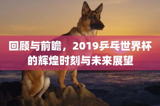 回顾与前瞻，2019乒乓世界杯的辉煌时刻与未来展望
