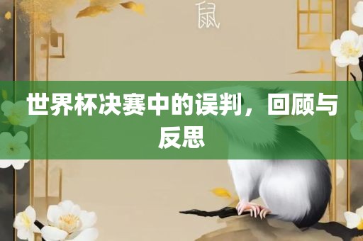 世界杯决赛中的误判，回顾与反思