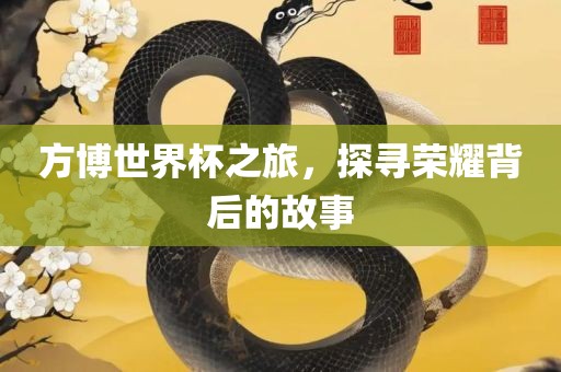 方博世界杯之旅，探寻荣耀背后的故事