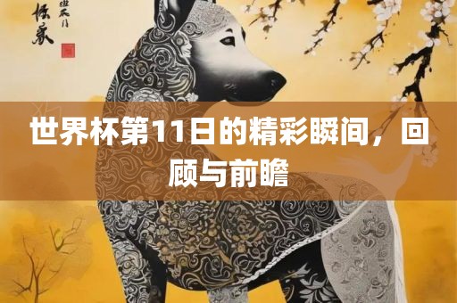 世界杯第11日的精彩瞬间，回顾与前瞻