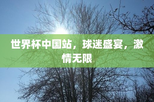世界杯中国站，球迷盛宴，激情无限