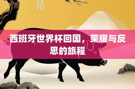 西班牙世界杯回国，荣耀与反思的旅程