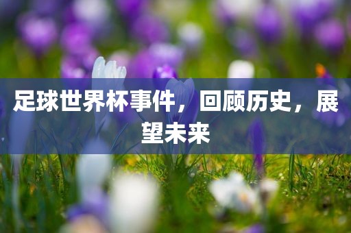 足球世界杯事件，回顾历史，展望未来